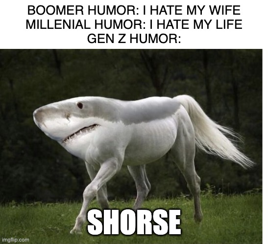 SHORSE | BOOMER HUMOR: I HATE MY WIFE
MILLENIAL HUMOR: I HATE MY LIFE
GEN Z HUMOR:; SHORSE | image tagged in shorse | made w/ Imgflip meme maker