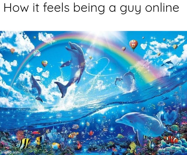 Happy dolphin rainbow | How it feels being a guy online | image tagged in happy dolphin rainbow | made w/ Imgflip meme maker