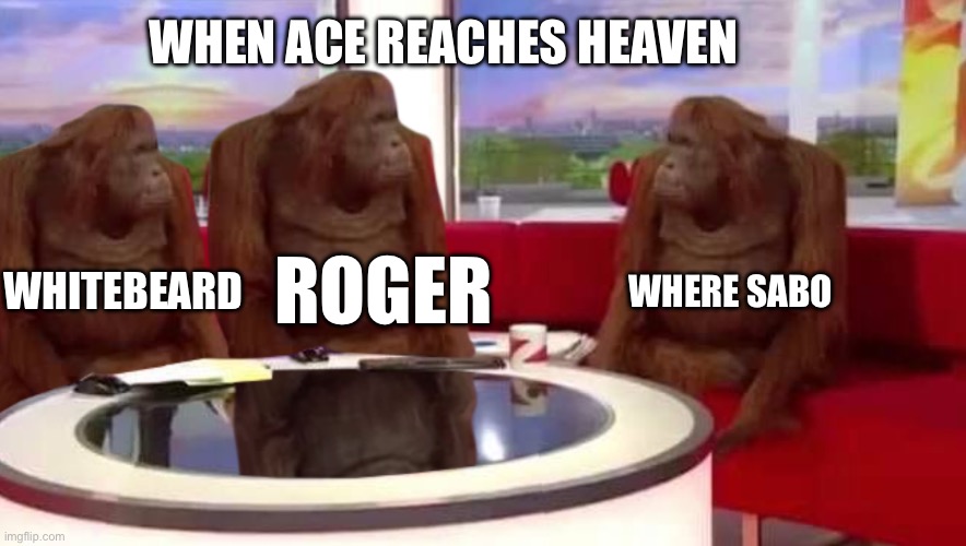 where monkey | WHEN ACE REACHES HEAVEN; WHITEBEARD; WHERE SABO; ROGER | image tagged in where monkey | made w/ Imgflip meme maker
