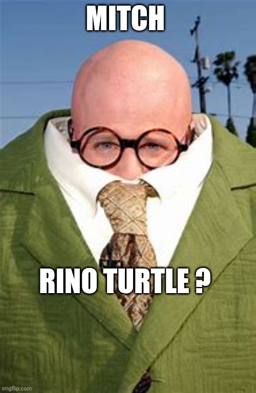 McConnell turtle | MITCH; RINO TURTLE ? | image tagged in dana carvey turtle | made w/ Imgflip meme maker