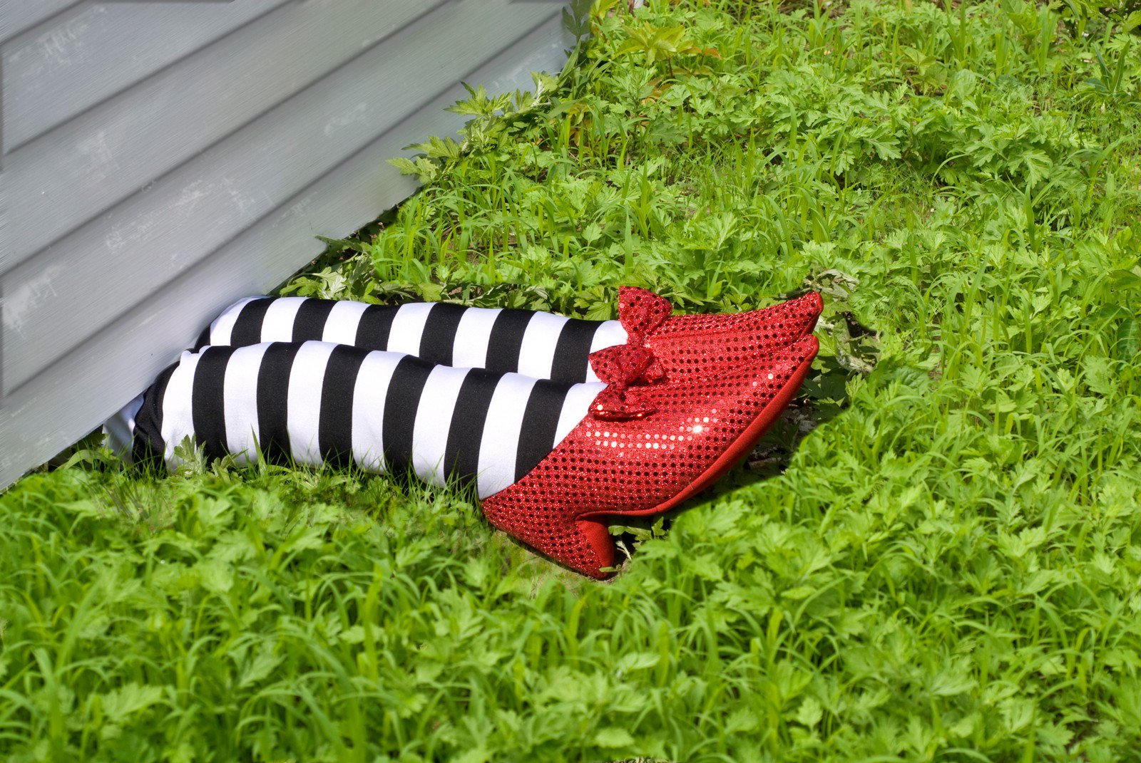 Wizard of Oz wicked witch Blank Meme Template