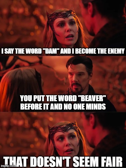 That Doesn't Seem Fair | I SAY THE WORD "DAM" AND I BECOME THE ENEMY; YOU PUT THE WORD "BEAVER" BEFORE IT AND NO ONE MINDS; THAT DOESN'T SEEM FAIR | image tagged in that doesn't seem fair | made w/ Imgflip meme maker