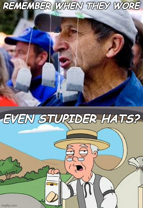 REMEMBER WHEN THEY WORE EVEN STUPIDER HATS? | image tagged in memes,pepperidge farm remembers | made w/ Imgflip meme maker