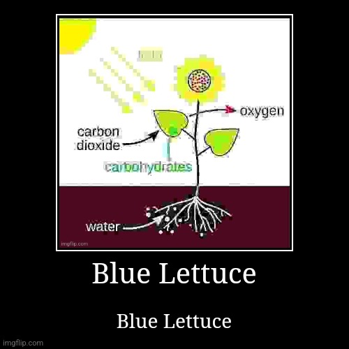 Blue Lettuce | Blue Lettuce | image tagged in funny,demotivationals | made w/ Imgflip demotivational maker
