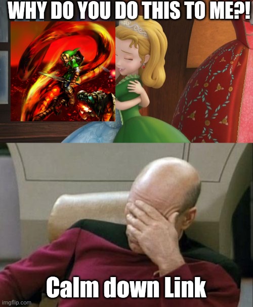 Link needs to calm down it is only affection | WHY DO YOU DO THIS TO ME?! Calm down Link | image tagged in memes,captain picard facepalm,sofia the first,the legend of zelda,fun,funny memes | made w/ Imgflip meme maker