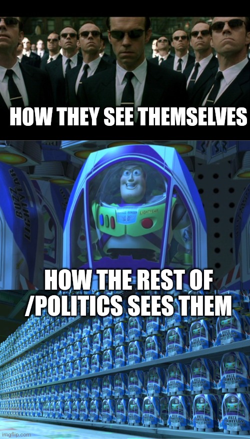 HOW THEY SEE THEMSELVES HOW THE REST OF /POLITICS SEES THEM | image tagged in agent smith replicates,buzz lightyear clones | made w/ Imgflip meme maker