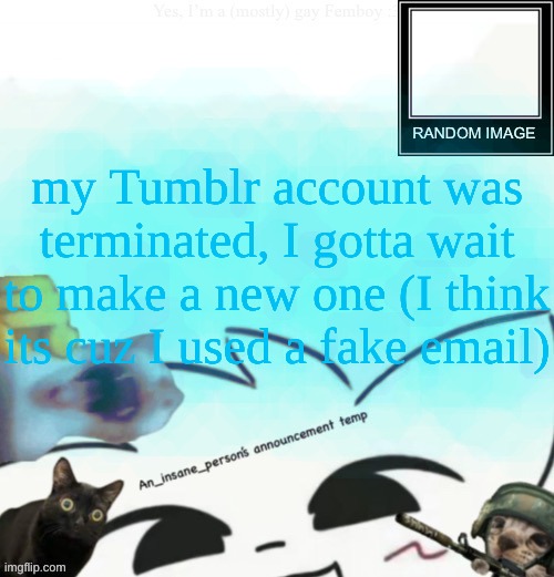 my friend is making me a Google account, as I cant use my main (my mum can see it) | my Tumblr account was terminated, I gotta wait to make a new one (I think its cuz I used a fake email) | image tagged in my lil announcement | made w/ Imgflip meme maker