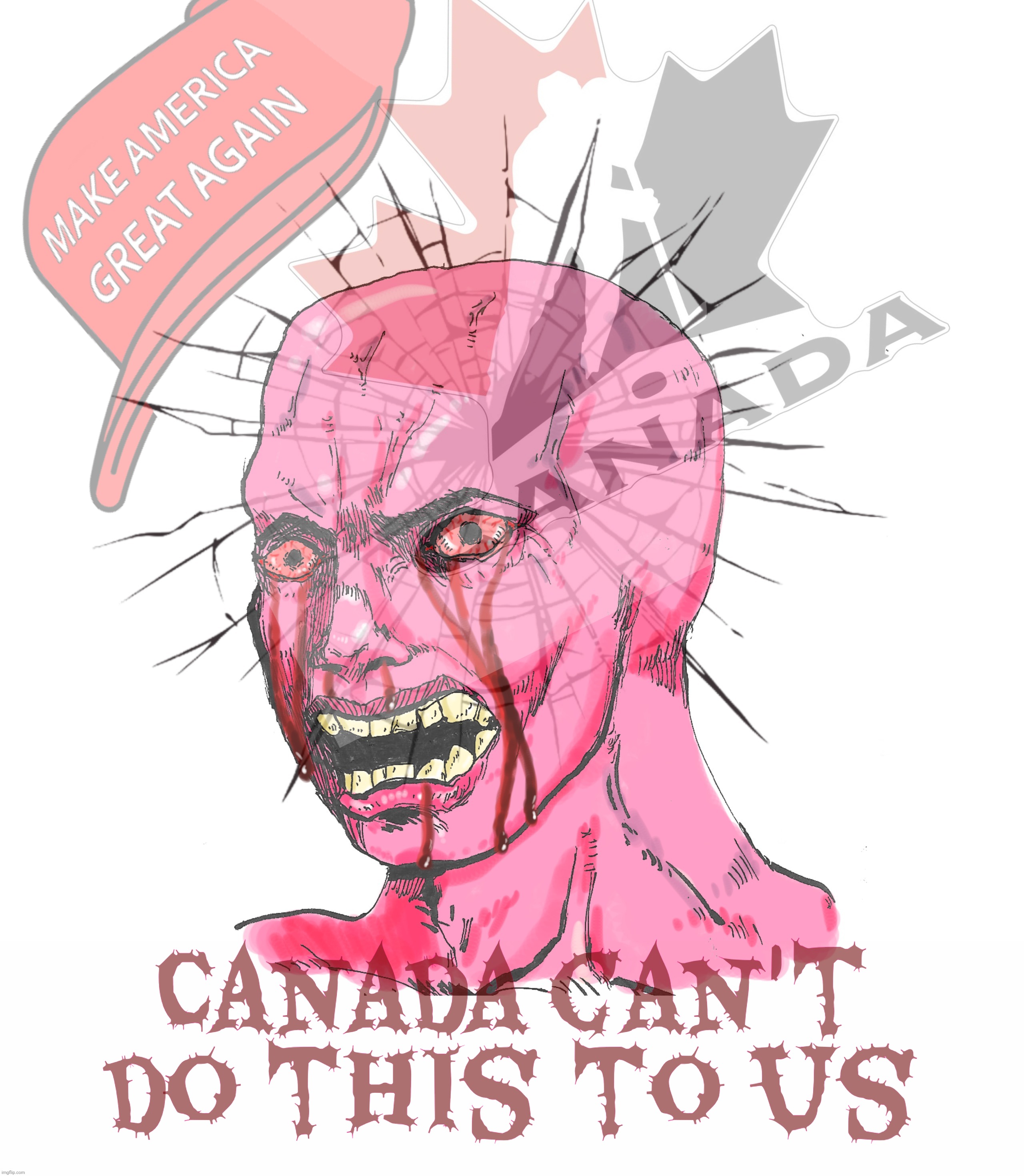 Canada can't do this to us | made w/ Imgflip meme maker