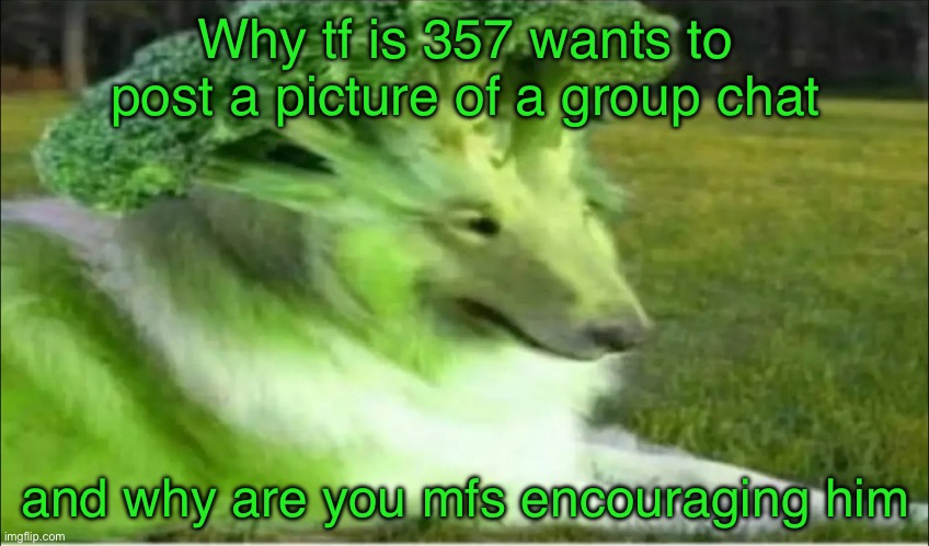 Broco dogo | Why tf is 357 wants to post a picture of a group chat; and why are you mfs encouraging him | image tagged in broco dogo | made w/ Imgflip meme maker