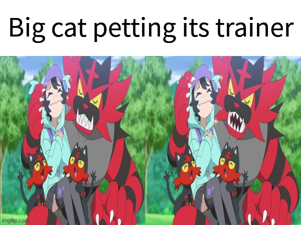 Now I've seen everything | Big cat petting its trainer | image tagged in pokemon,memes,funny,anime | made w/ Imgflip meme maker
