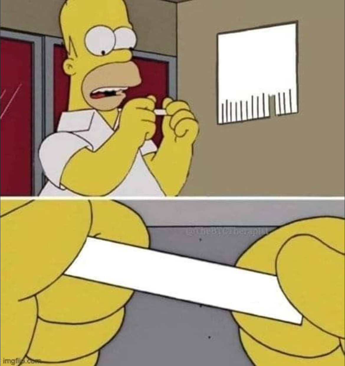Homer Simpson advice Blank Meme Template