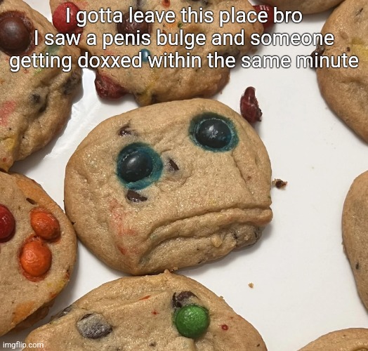Sad cookie | I gotta leave this place bro I saw a penis bulge and someone getting doxxed within the same minute | image tagged in sad cookie | made w/ Imgflip meme maker