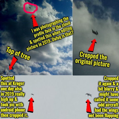 Dafuq Is That | I was photographing the profile face in the cloud & spotted this when editing picture in 2019. Dafuq is that? Top of tree; Cropped the original picture; Cropped it again & a bit blurry & might have called it some odd aircraft had the wings not been flapping; Spotted this at Kroger one day also in 2019 really high up & took pic with android phone then cropped it. | image tagged in ufo,dafuq,what is that,dragons,demons,2019 | made w/ Imgflip meme maker