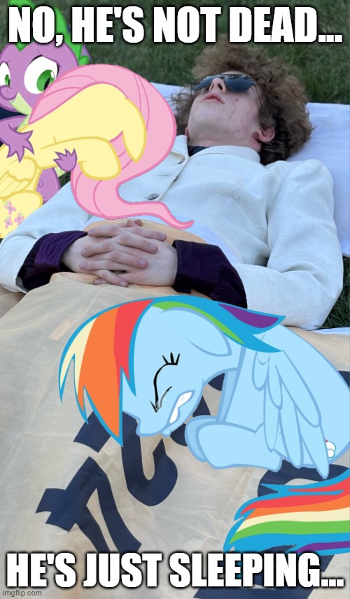 No, He's Not Dead... He's Just Sleeping... | NO, HE'S NOT DEAD... HE'S JUST SLEEPING... | image tagged in ponies cry over deceased liam keel,liam keel,my little pony,fluttershy,rainbow dash,spike | made w/ Imgflip meme maker