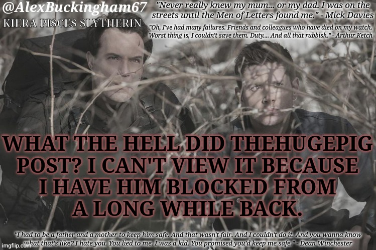 Something About A Bulge..... | WHAT THE HELL DID THEHUGEPIG
POST? I CAN'T VIEW IT BECAUSE
I HAVE HIM BLOCKED FROM
A LONG WHILE BACK. | image tagged in alexbuckingham67 h3bs,adult,male,users,why are you like this,blocked | made w/ Imgflip meme maker
