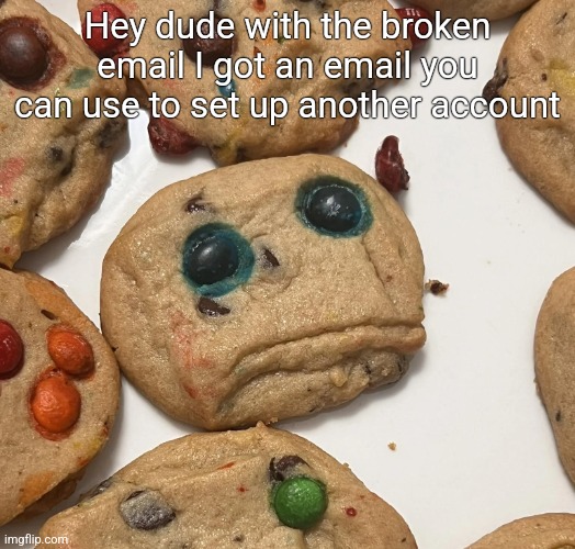 Sad cookie | Hey dude with the broken email I got an email you can use to set up another account | image tagged in sad cookie | made w/ Imgflip meme maker