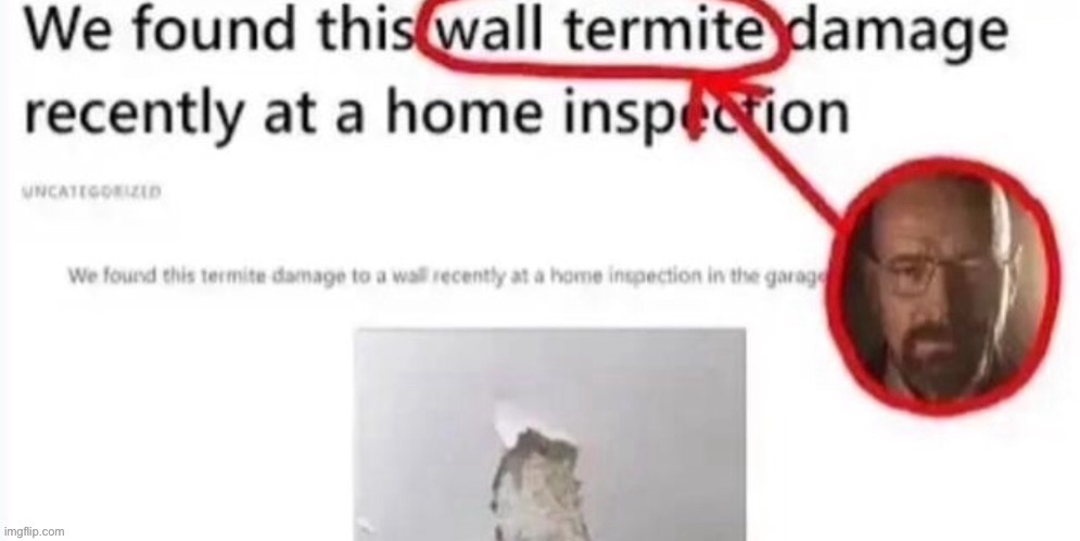 wall termite | made w/ Imgflip meme maker