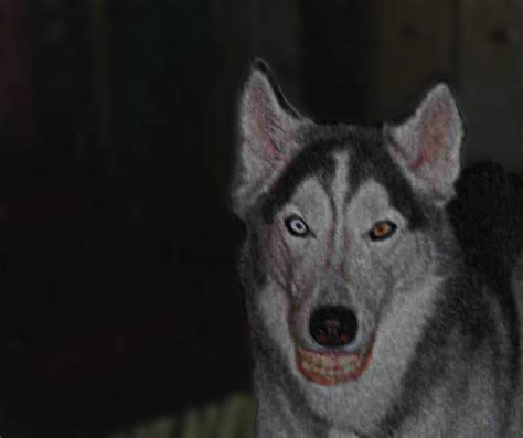 Smile dog #1 Blank Meme Template