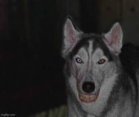 where is the knife in this picture? | image tagged in smile dog 1 | made w/ Imgflip meme maker