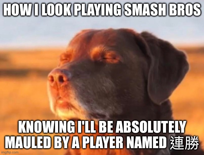 :( | HOW I LOOK PLAYING SMASH BROS; KNOWING I'LL BE ABSOLUTELY MAULED BY A PLAYER NAMED 連勝 | image tagged in dog accepting fate,super smash bros,rip me | made w/ Imgflip meme maker