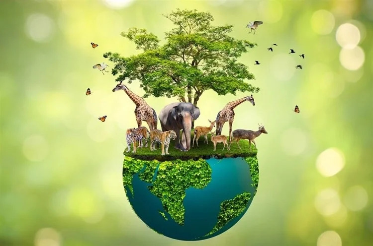 plants animals birds Blank Meme Template