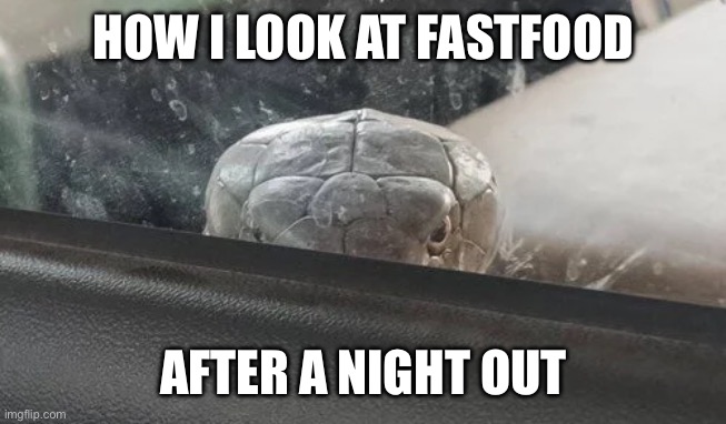 Angry snake | HOW I LOOK AT FASTFOOD; AFTER A NIGHT OUT | image tagged in angry snake | made w/ Imgflip meme maker