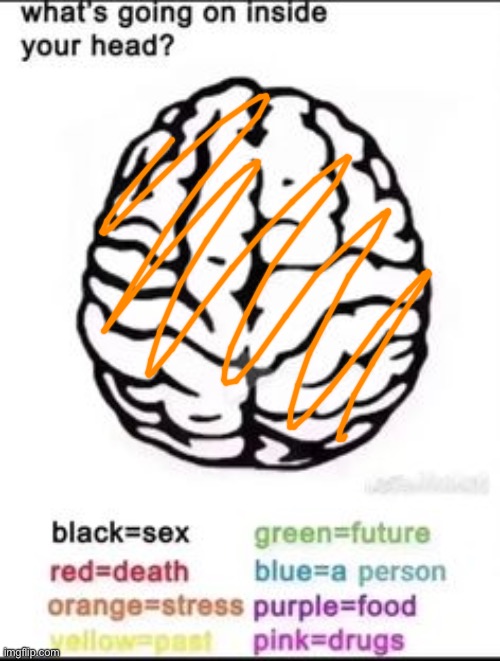 Orange is because of school | image tagged in what's going on inside your head | made w/ Imgflip meme maker