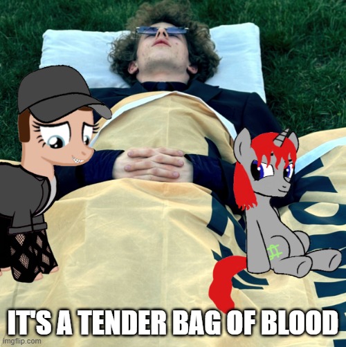 It's A Tender Bag Of Blood | IT'S A TENDER BAG OF BLOOD | image tagged in the death of a my little pony icon,the death of liam keel,my little pony,mlp fim,brony,mlp meme | made w/ Imgflip meme maker