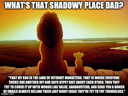 Lion King | WHAT'S THAT SHADOWY PLACE DAD? "THAT MY SON IS THE LAND OF INTERNET MARKETERS. THAT IS WHERE EVERYONE SUCKS ONE ANOTHER OFF AND SAYS HYPEY S | image tagged in memes,lion king | made w/ Imgflip meme maker