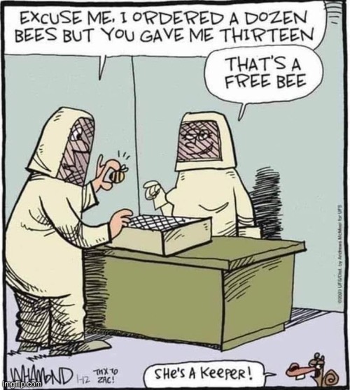 Bees | image tagged in bees | made w/ Imgflip meme maker