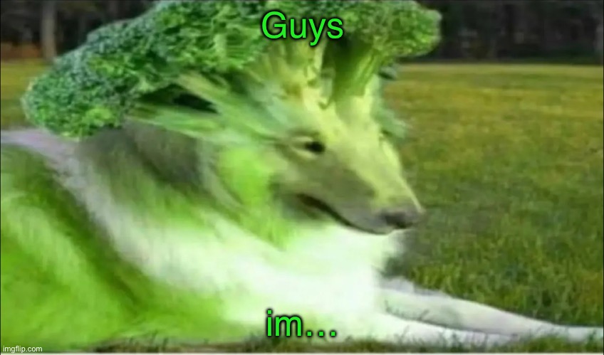 Broco dogo | Guys; im… | image tagged in broco dogo | made w/ Imgflip meme maker