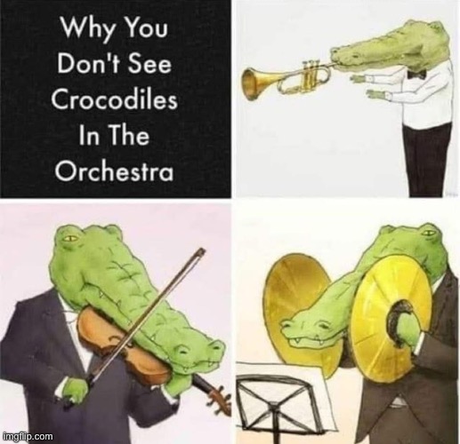 Crocodiles | image tagged in crocodile,orchestra | made w/ Imgflip meme maker