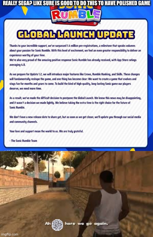 not a another delay 0-0 | REALLY SEGA? LIKE SURE IS GOOD TO DO THIS TO HAVE POLISHED GAME | image tagged in meme,sonic,sonic the hedgehog | made w/ Imgflip meme maker