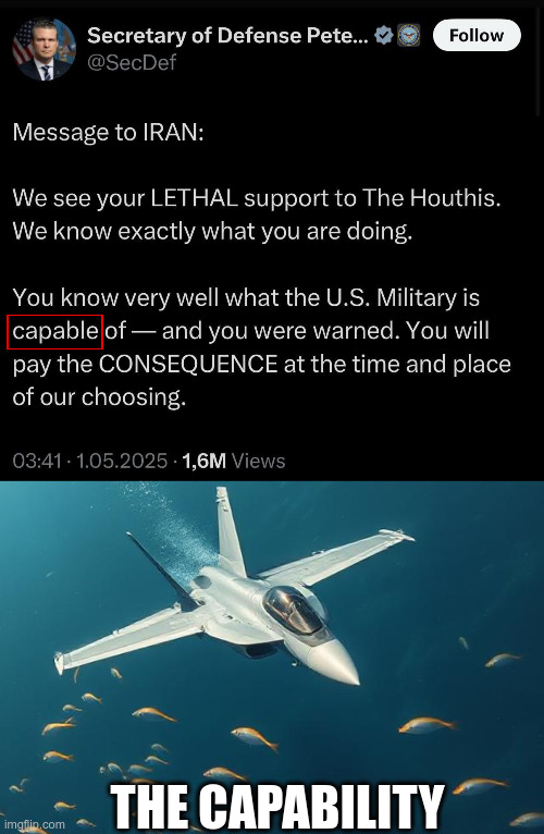 THE CAPABILITY | made w/ Imgflip meme maker