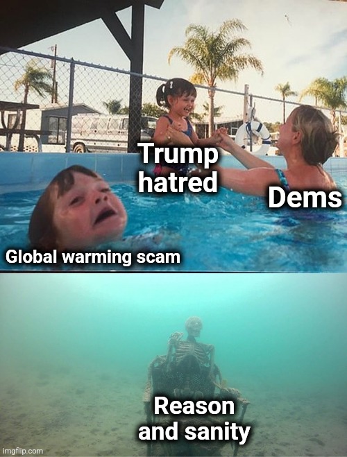 democrats' unhinged "resistance" | Trump
hatred; Dems; Global warming scam; Reason and sanity | image tagged in mother ignoring kid drowning in a pool,memes,democrats,trump derangement syndrome,hatred,global warming | made w/ Imgflip meme maker