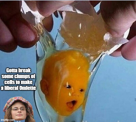 Gotta break some clumps of cells to make a liberal Omlette | made w/ Imgflip meme maker