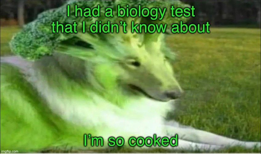 Broco dogo | I had a biology test that I didn’t know about; I’m so cooked | image tagged in broco dogo | made w/ Imgflip meme maker