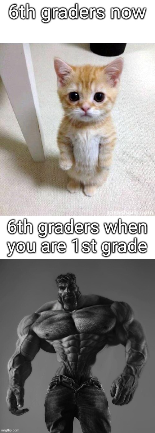 6th graders | 6th graders now; 6th graders when you are 1st grade | image tagged in memes,cute cat,gigachad | made w/ Imgflip meme maker