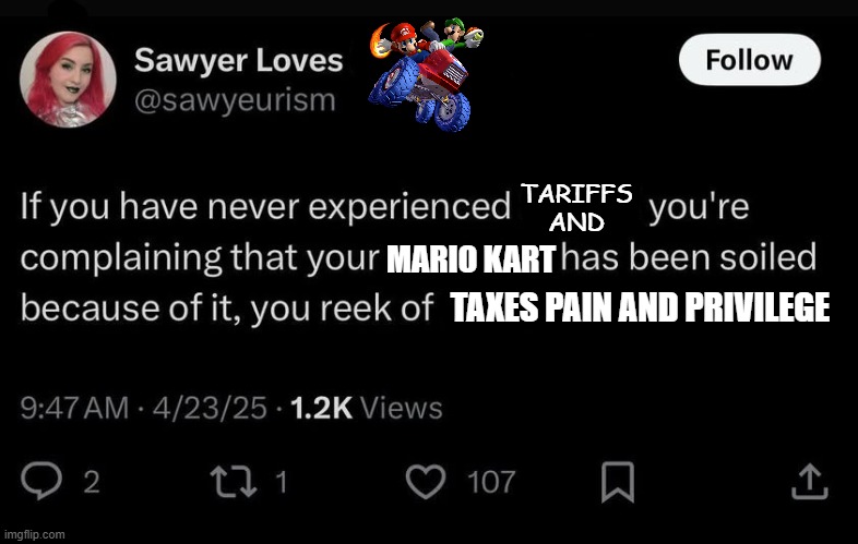 your mario kart has been soiled | TARIFFS AND; MARIO KART; TAXES PAIN AND PRIVILEGE | image tagged in your blank has been soiled,mario,gaming,mario kart,tariffs,taxes | made w/ Imgflip meme maker