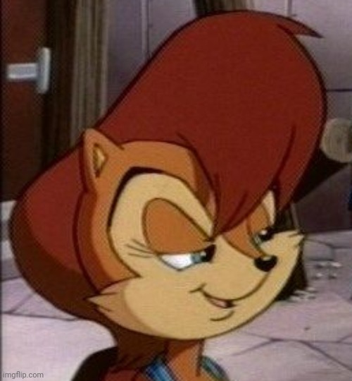 Sally Acorn | image tagged in sally acorn | made w/ Imgflip meme maker