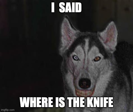 Smile dog #1 | I  SAID WHERE IS THE KNIFE | image tagged in smile dog 1 | made w/ Imgflip meme maker