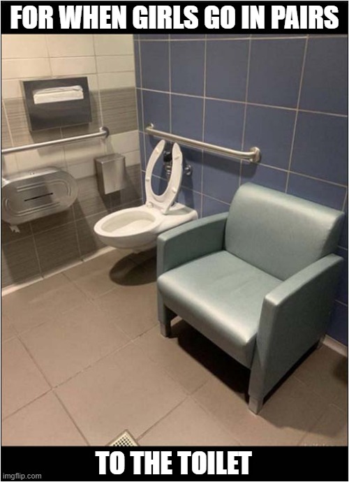 I've Always Wondered About This | FOR WHEN GIRLS GO IN PAIRS; TO THE TOILET | image tagged in toilets,girls,pairs,dark humour | made w/ Imgflip meme maker