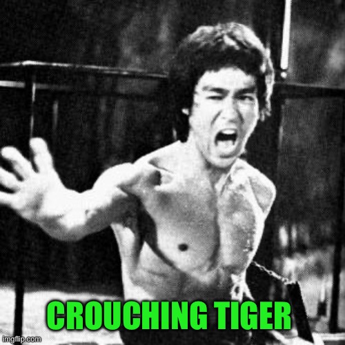 Bruce lee wataaa | CROUCHING TIGER | image tagged in bruce lee wataaa | made w/ Imgflip meme maker