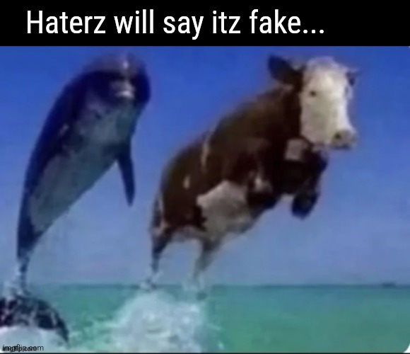 Upvote for good luck. Downvote if you're a Jeffrey fan. Ignore if Andrew is the best mod. | Haterz will say itz fake... | made w/ Imgflip meme maker