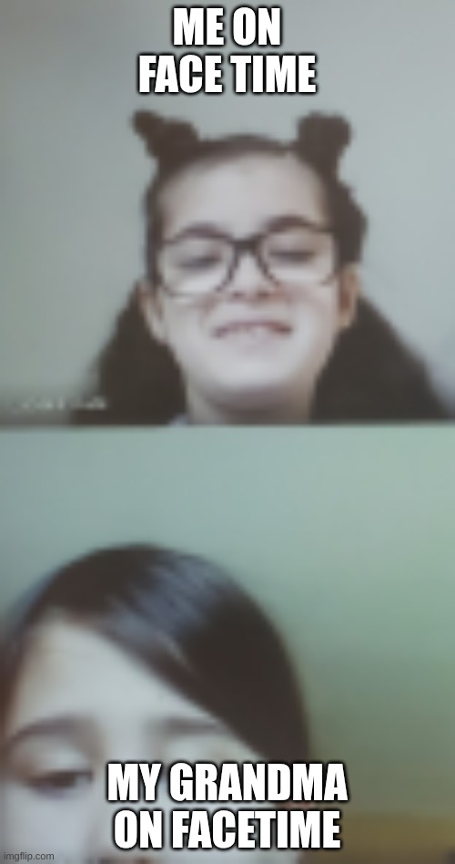 hi | ME ON FACE TIME; MY GRANDMA ON FACETIME | image tagged in humor | made w/ Imgflip meme maker