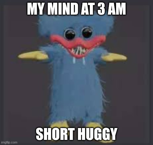 Mini huggy wuggy | MY MIND AT 3 AM; SHORT HUGGY | image tagged in mini huggy wuggy | made w/ Imgflip meme maker