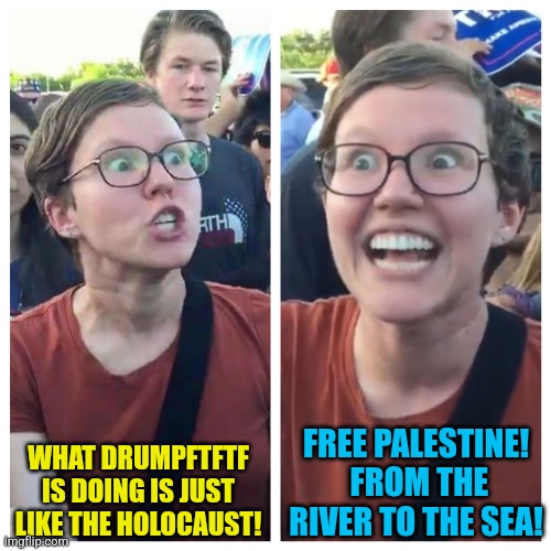 Social Justice Warrior Hypocrisy | FREE PALESTINE!  FROM THE RIVER TO THE SEA! WHAT DRUMPFTFTF IS DOING IS JUST LIKE THE HOLOCAUST! | image tagged in social justice warrior hypocrisy | made w/ Imgflip meme maker