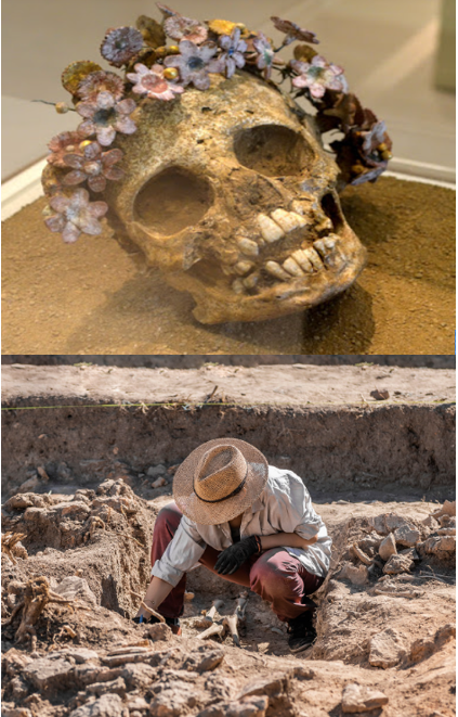 Flower skull Blank Meme Template