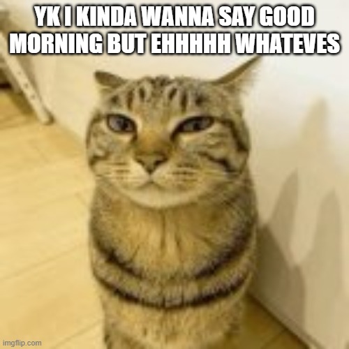 YK I KINDA WANNA SAY GOOD MORNING BUT EHHHHH WHATEVES | made w/ Imgflip meme maker