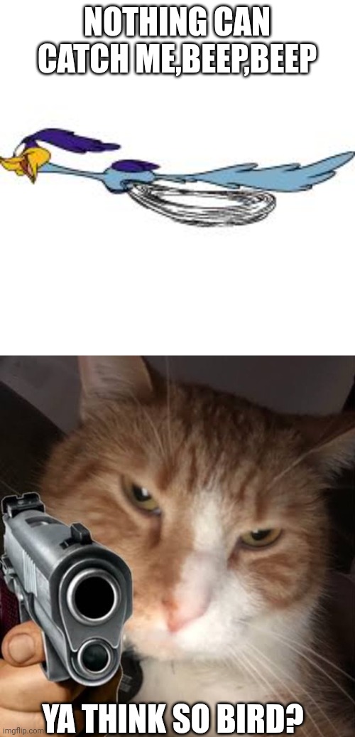 NOTHING CAN CATCH ME,BEEP,BEEP; YA THINK SO BIRD? | image tagged in road runner,cat with gun | made w/ Imgflip meme maker